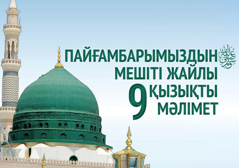 Тілмен жыныстық қатынас туралы фильмдер