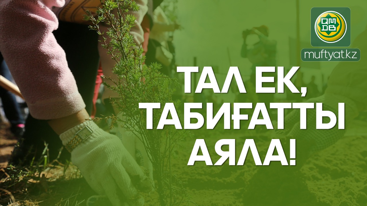 ТАЛ ЕК, ТАБИҒАТТЫ АЯЛА!