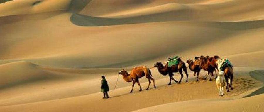 Алмұрт тәрізді фигура жалаңаш қытай әйелдерінің порнофотосуреттері