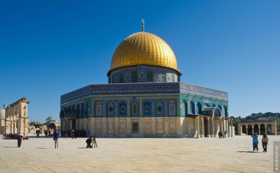 Барлық уақыттағы ең қатыгез порно