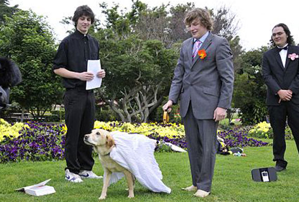 Жынды жалған жалаңаш жұлдыздар атақтылардың жалған фотолары