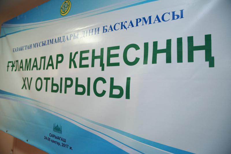 Порно сиськи 3