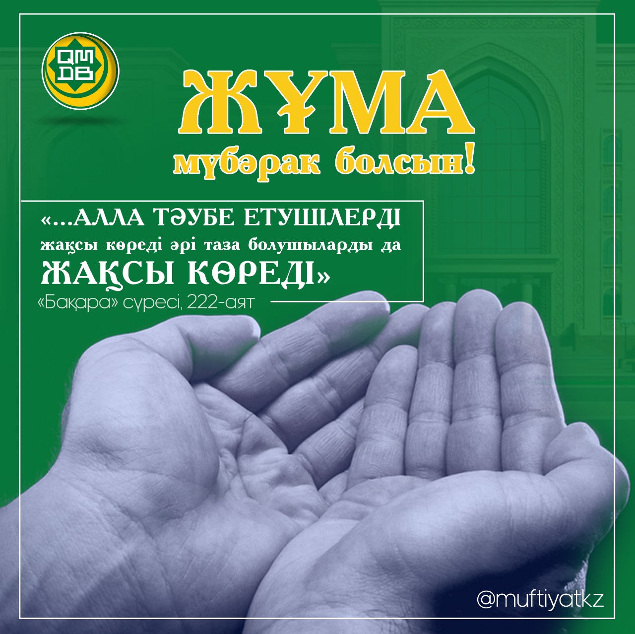 Порно қыз жабылған сперму