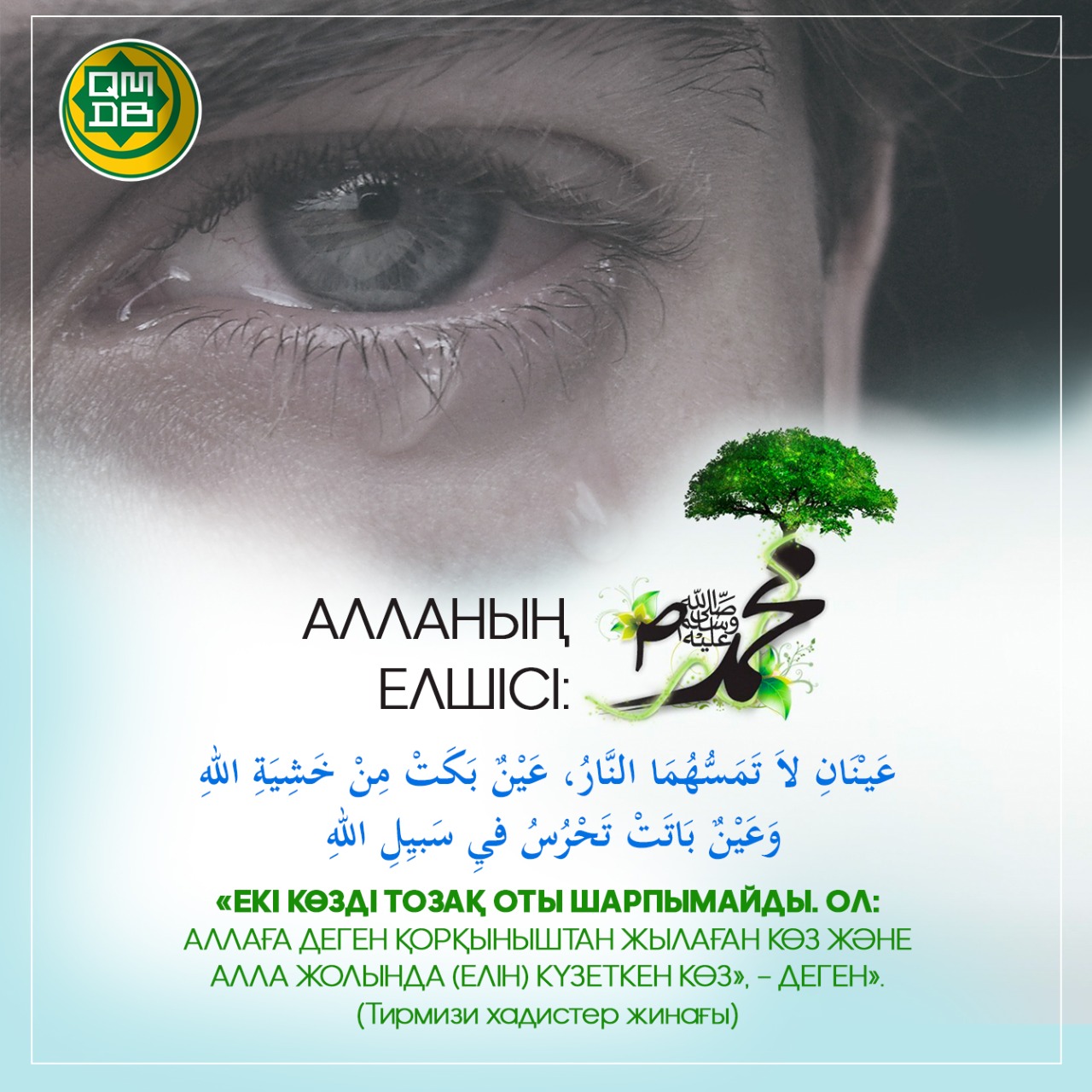 Шұлықтардағы кең жопа ит стилі фото