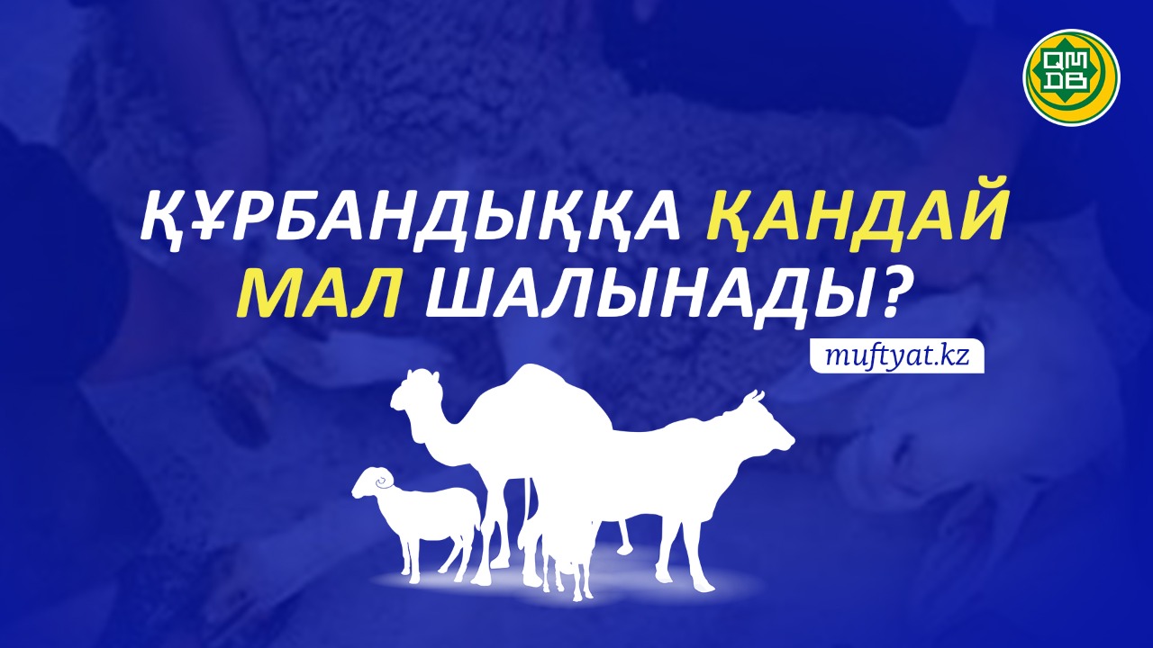 ҚҰРБАНДЫҚҚА ҚАНДАЙ МАЛ ШАЛЫНАДЫ?