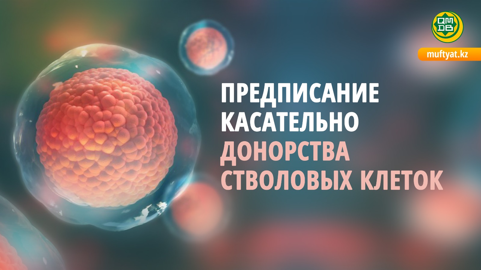 ПРЕДПИСАНИЕ КАСАТЕЛЬНО ДОНОРСТВА СТВОЛОВЫХ КЛЕТОК