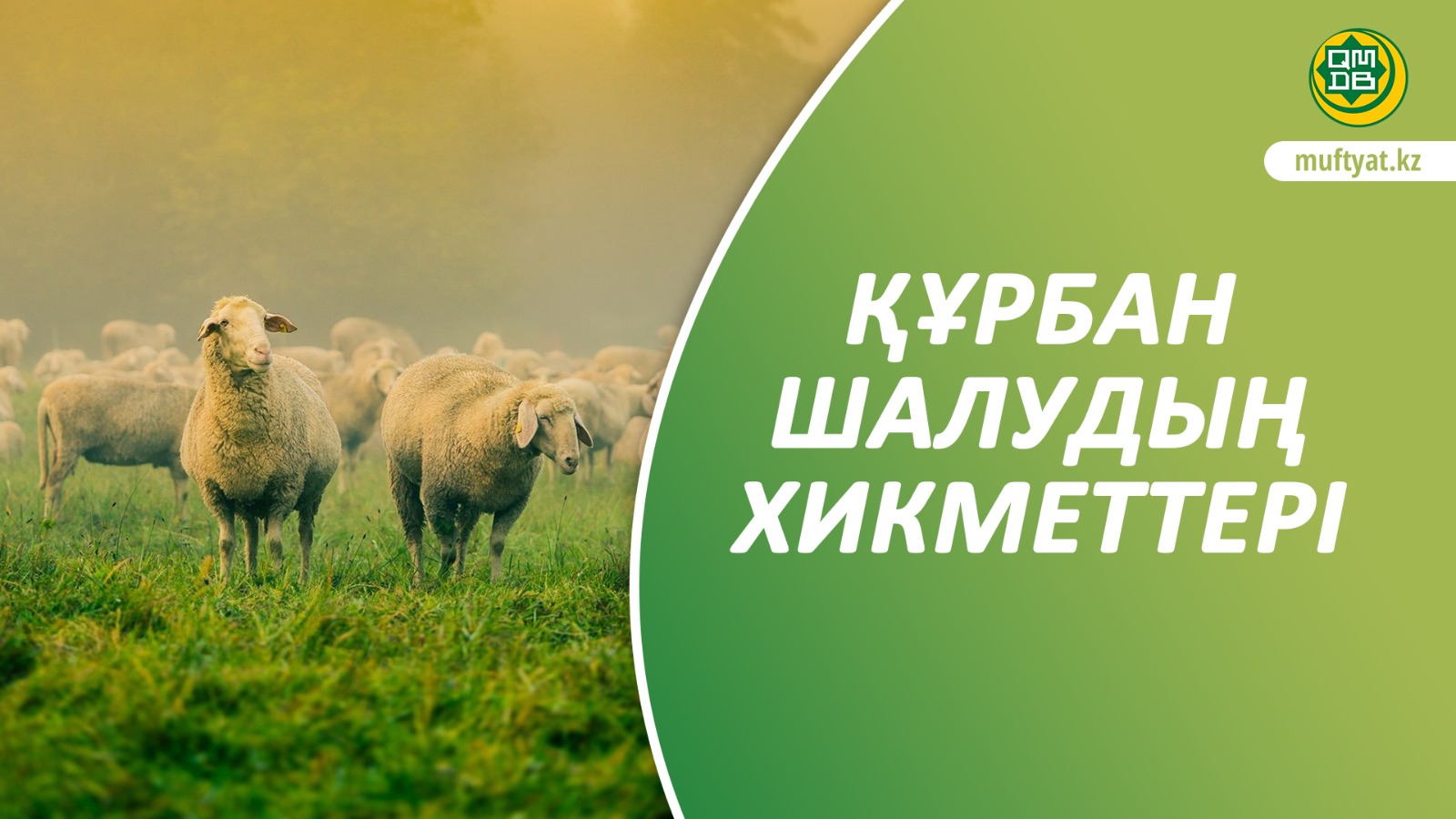 ҚҰРБАН ШАЛУДЫҢ ХИКМЕТТЕРІ