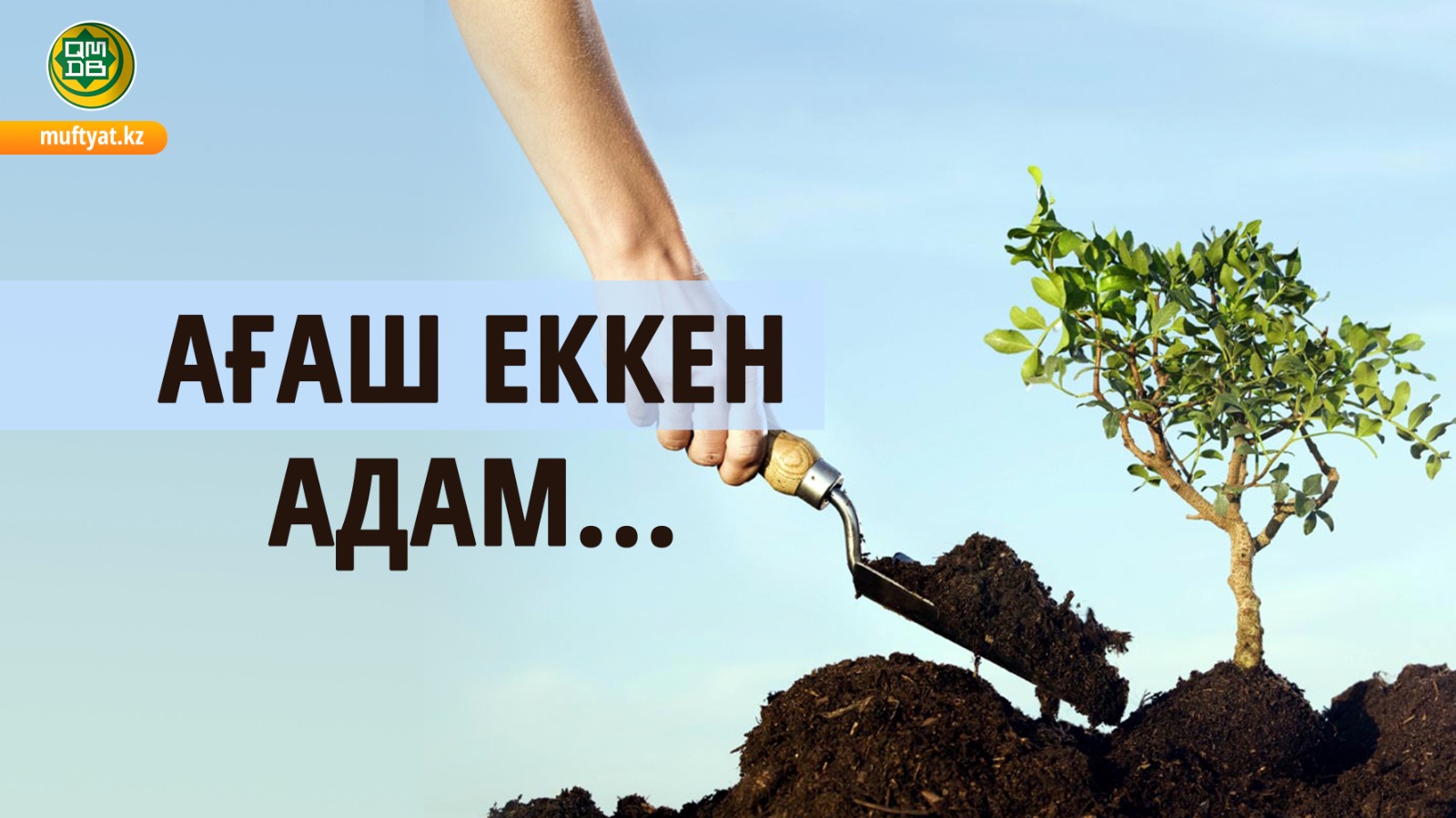 Гараждардың артында ренжіді