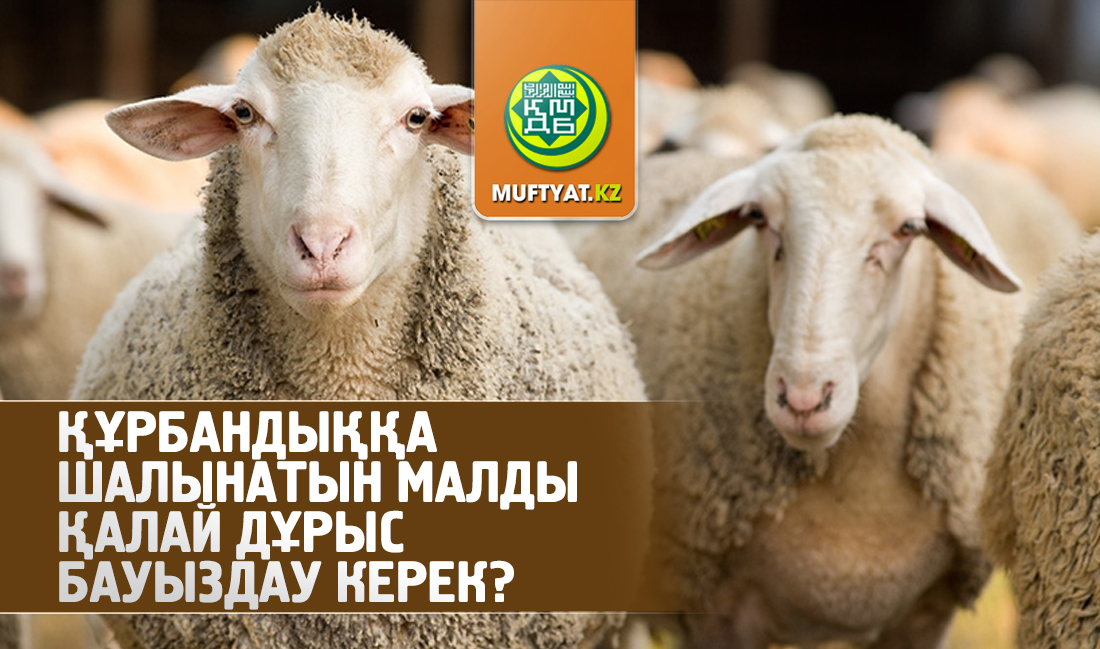 Киім ауыстыратын бөлменің камерасы