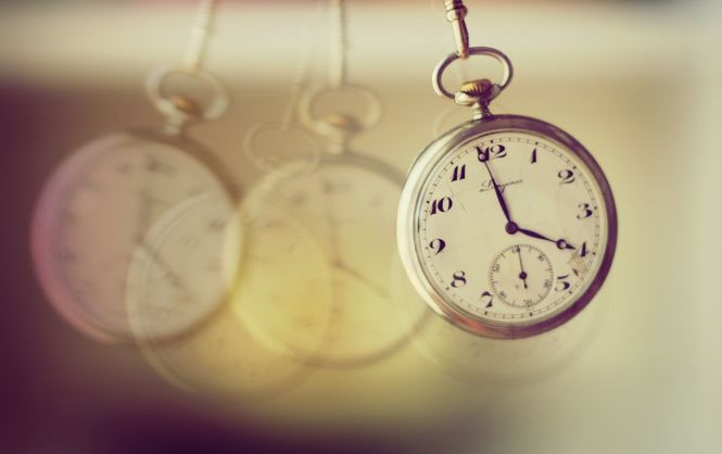 Ормандағы томпақ әйелдер бейне