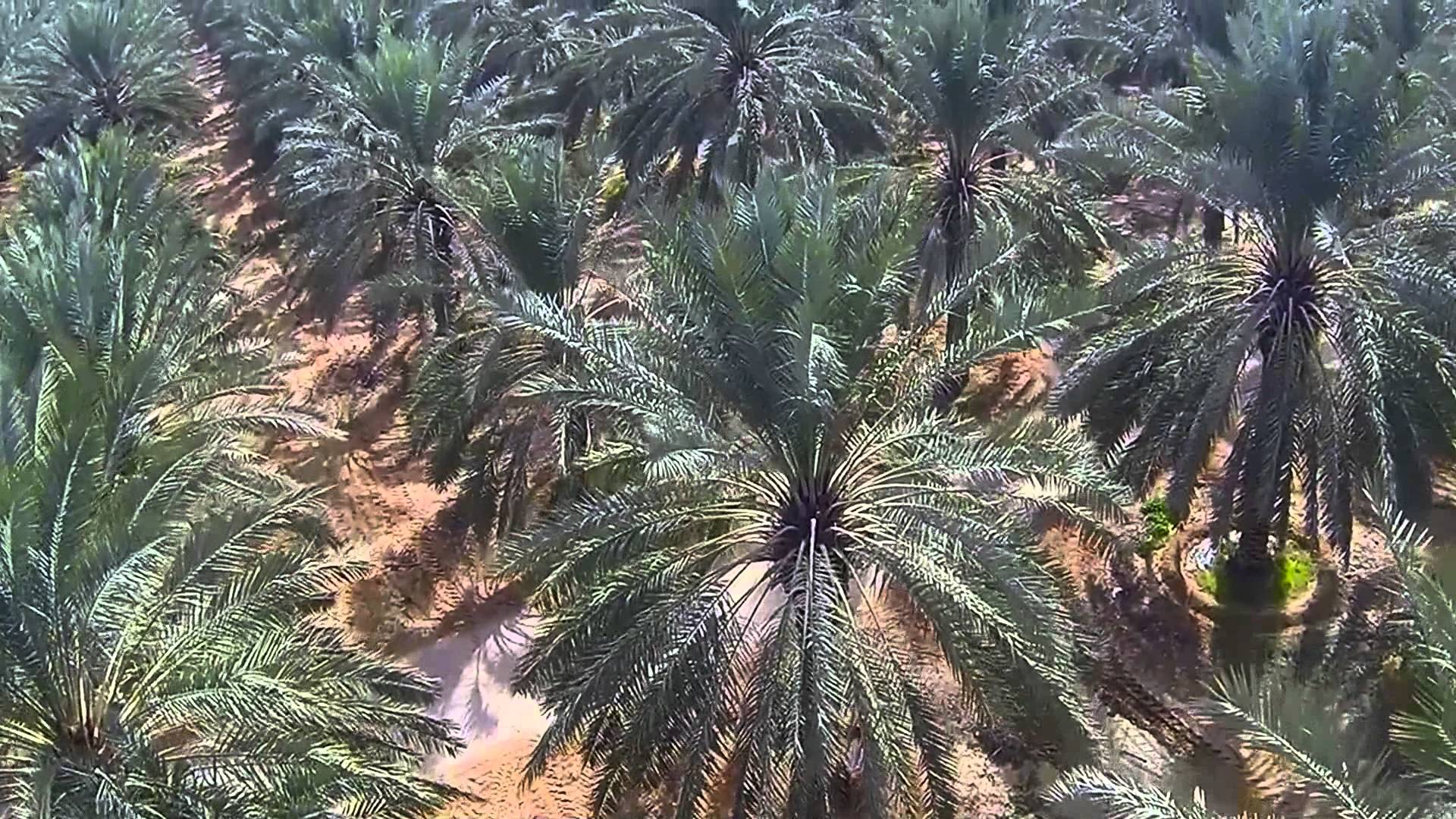 Қалыңдықпен ресейлік стильдегі пикап порно видео