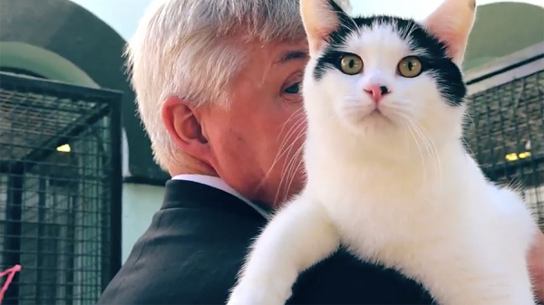 Жалаңаш әйел денесі бейне