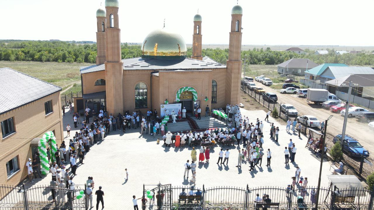 Пойызда жапондық әйелді ұрсып тастаған