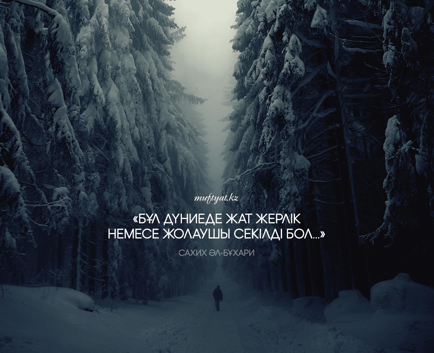 Әйелдер туралы күлкілі суреттер Қыздардың алғаш рет жыныстық қатынасқа түскен суреттері