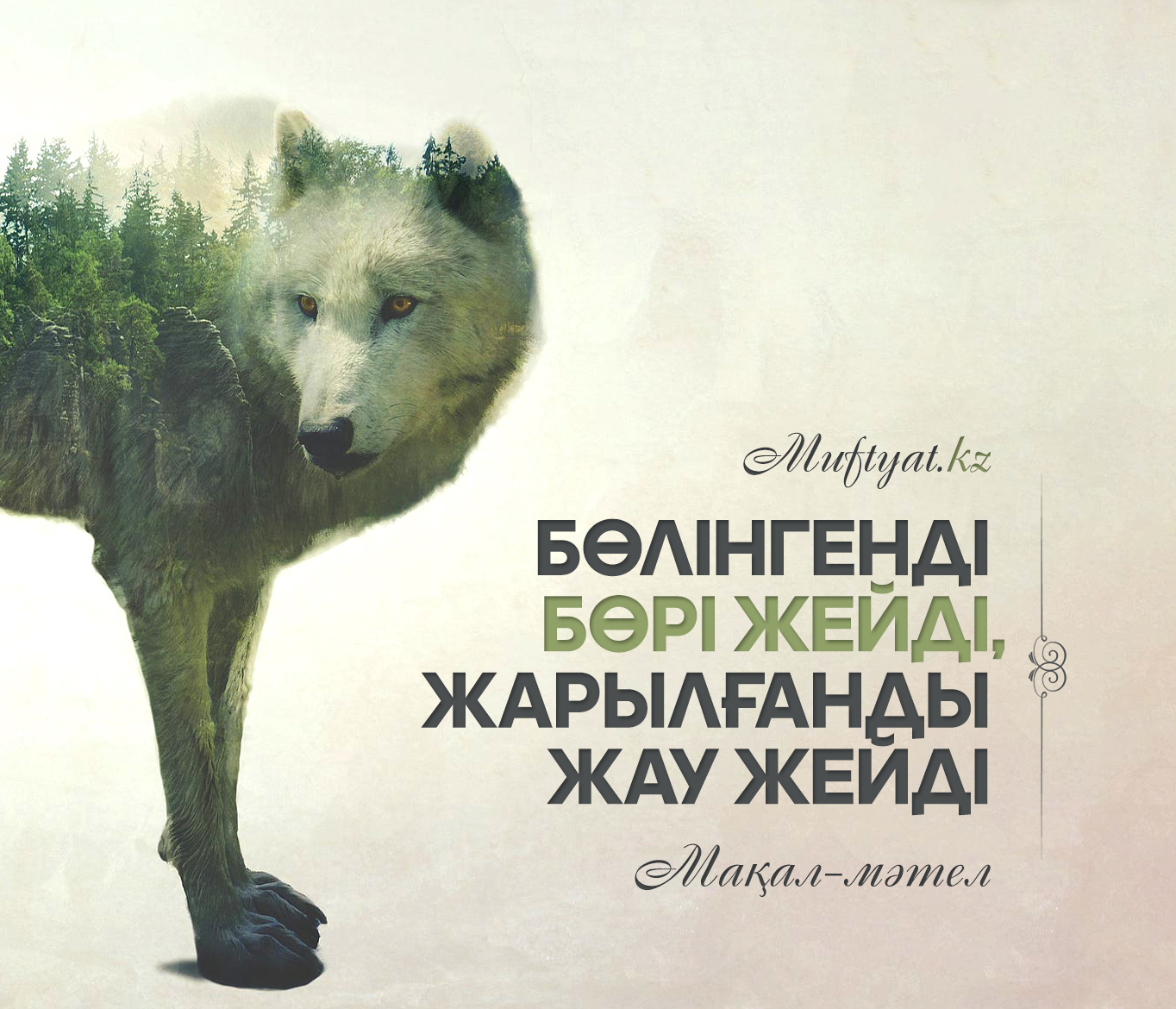 Бір балапан және үш жігіт блят