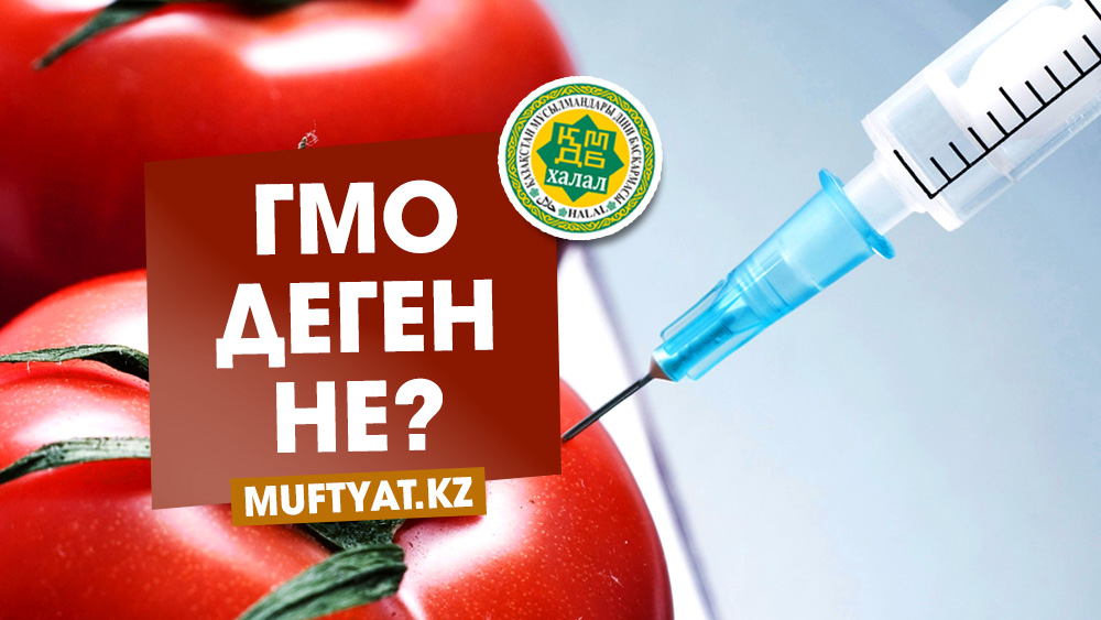 Гмо деген не презентация