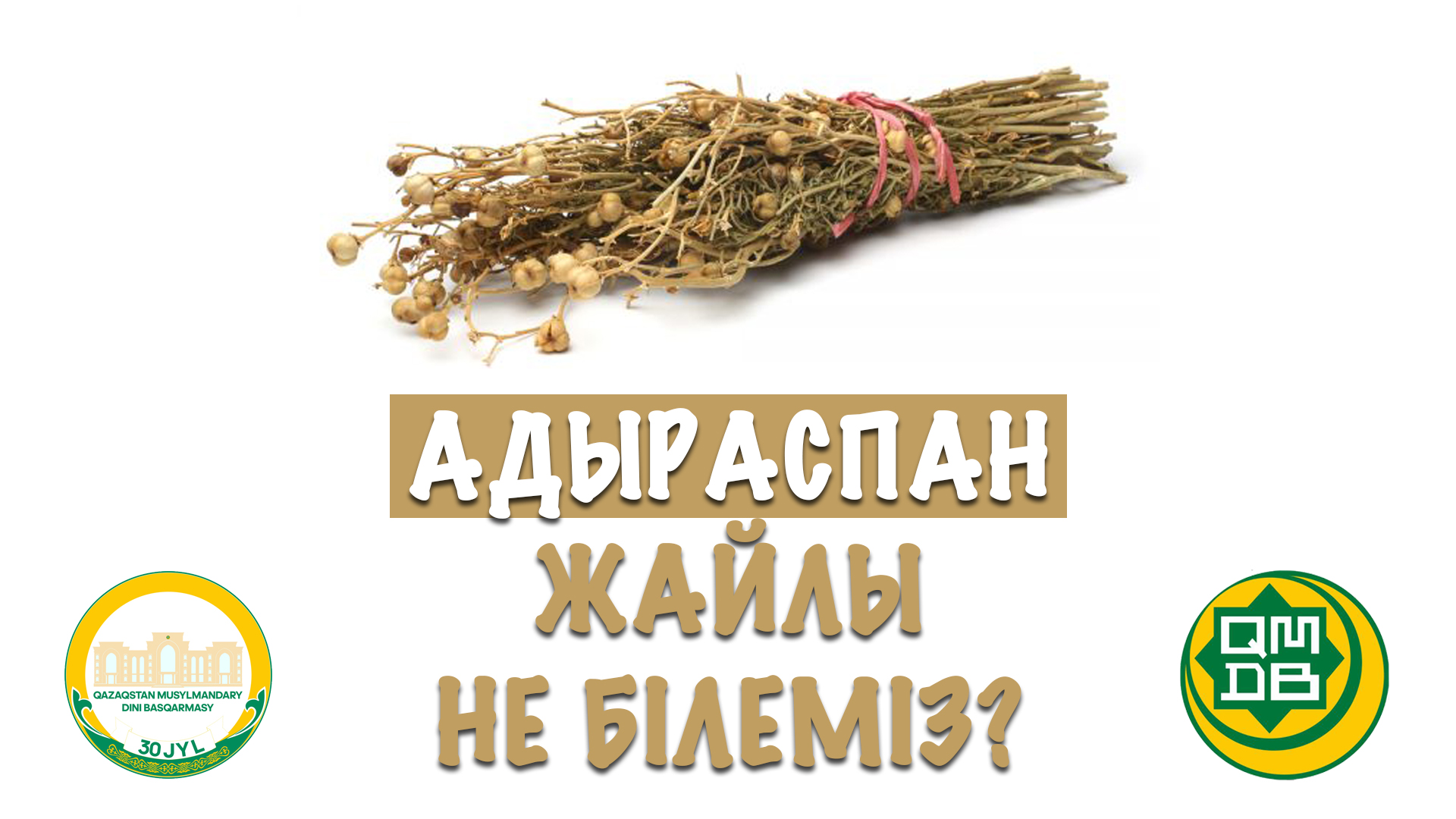 Адыраспан жайлы не білеміз?