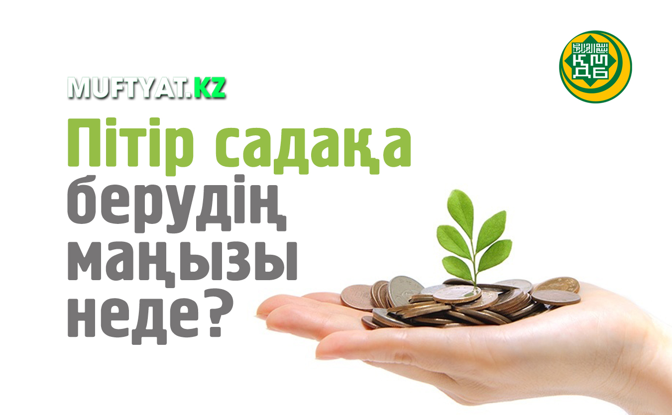 Жағажайдағы жаңа порно видео