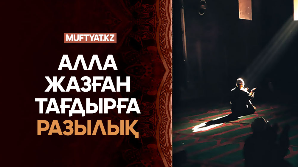 Петропавл-Камчатскийдегі жезөкшелер