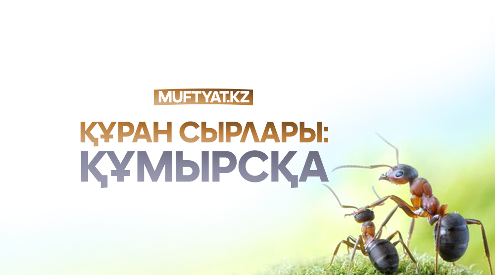 Бақытты бірге сериалының эротикалық сәттері