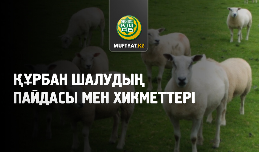 Порно сату агенті